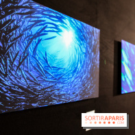 Reflets de la nature, nos photos de l'exposition