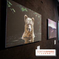 Reflets de la nature, nos photos de l'exposition