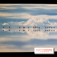 Reflets de la nature, nos photos de l'exposition