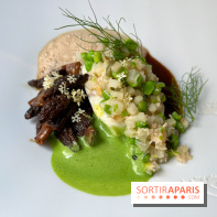 Auguste - Turbot, petits pois, tourteau