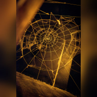 L'Aventure Fantastique - yann delcambre F   25