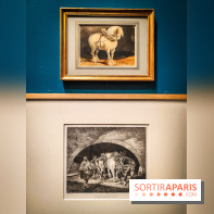 Les chevaux de Géricault : l'exposition hommage au peintre se dévoile au musée de la Vie Romantique - IMG20240514101439