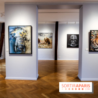 Le Décryptage de l’art de rue, nos photos de l'expo