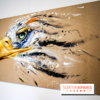 Le Décryptage de l’art de rue, nos photos de l'expo