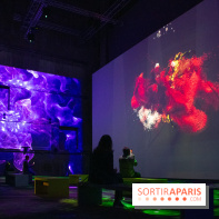 Artificial Dreams - DSC 0060