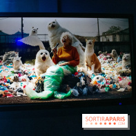 Artificial Dreams - DSC 0083