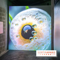 Artificial Dreams - DSC 0091