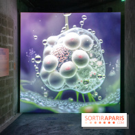 Artificial Dreams - DSC 0093