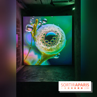 Artificial Dreams - DSC 0095