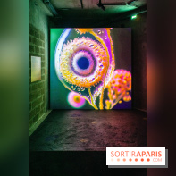 Artificial Dreams - DSC 0096