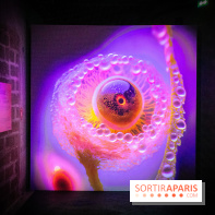 Artificial Dreams - DSC 0097