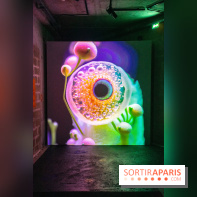 Artificial Dreams - DSC 0099