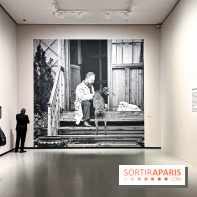 Matisse