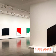 Formes et couleurs, l'exposition hommage à Ellsworth Kelly à la Fondation Louis Vuitton