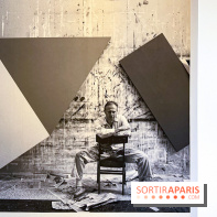 Formes et couleurs, l'exposition hommage à Ellsworth Kelly à la Fondation Louis Vuitton - image00045