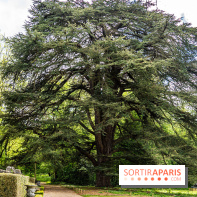 La Fondation Coubertin et son Domaine -  A7C2837