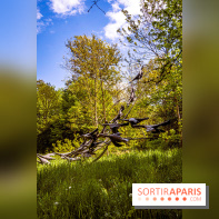 La Fondation Coubertin et son Domaine -  A7C2888