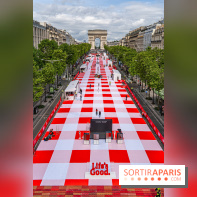Grand pique nique des Champs-Élysées - photos  -  A7C4701