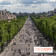 Grand pique nique des Champs-Élysées - photos