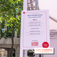 Grand pique nique des Champs-Élysées - photos
