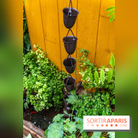 Jardins jardin 2024 à la Villa Windsor au Bois de Boulogne  -  A7C4983