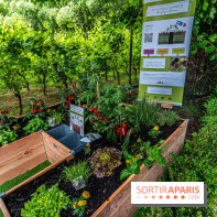 Jardins jardin 2024 à la Villa Windsor au Bois de Boulogne  -  A7C5005