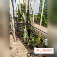 Jardins jardin 2024 à la Villa Windsor au Bois de Boulogne  -  A7C5061