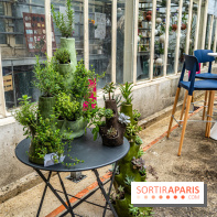 Jardins jardin 2024 à la Villa Windsor au Bois de Boulogne  -  A7C5069