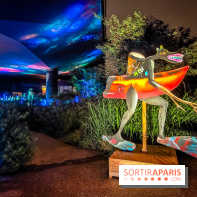 Nuit Blanche 2024 au musée du Quai Branly - IMG20240531225122