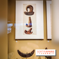 Exposition Taïnos et Kalinagos des Antilles : un voyage fascinant à faire au musée du Quai Branly