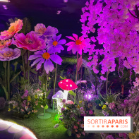 House of Dreamers - IMG 1500