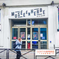 Oh my Gods, l'exposition de Wenna qui nous plonge dans des mondes merveilleux au musée en Herbe - IMG20240605121426