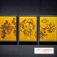 Exposition OR NORME à la Maison Guerlain des Champs-Élysées - image00016