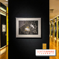 Exposition OR NORME à la Maison Guerlain des Champs-Élysées - image00026