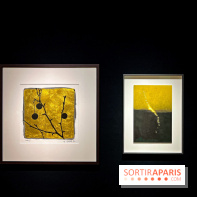 Exposition OR NORME à la Maison Guerlain des Champs-Élysées - image00065