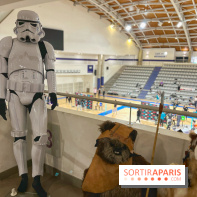 L'Open de France de Sabre Laser