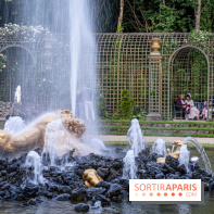 Les Grandes Eaux Nocturnes du Château de Versailles x Bal Masqué 2024 - les photos