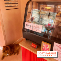 Casa del Doggo