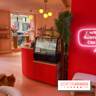 Casa del Doggo - IMG 1599