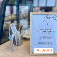 Casa del Doggo - IMG 1602