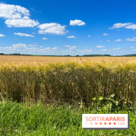 Paris-Meaux à vélo, nos photos - image00060