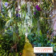 Exposition Paris à l'Hôtel de Ville - les Photos