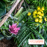 Exposition Paris à l'Hôtel de Ville - les Photos