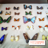 We are Here : l'exposition d'art urbain au Petit Palais