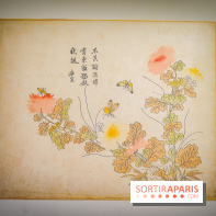 Au cœur de la couleur : l'exposition autour de la porcelaine de Chine au musée Guimet - nos photos