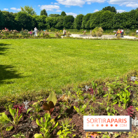 Jardin Bossuet de Meaux - nos photos - image00006