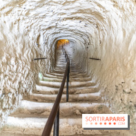 Le Château de la Roche Guyon, le château troglodyte dans le Val-d'Oise - 95 -  escalier dans la roche
