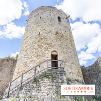 Le Château de la Roche Guyon, le château troglodyte dans le Val-d'Oise - 95 -  donjon