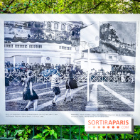 Championnes : l'exposition photo qui explore le sport féminin se dévoile à la galerie Roger-Viollet - IMG20240613102530