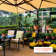 Limonaia Urbana - masterclasses et dégustations à l'italienne au Café de l'Homme - image00059